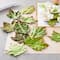 Green Paper Leaf Embellishment Set by Recollections&#x2122;